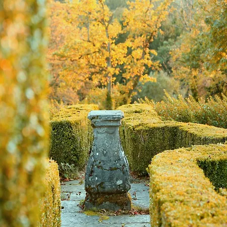 Near Castle Дом отдыха *